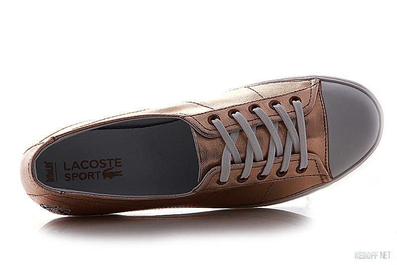 Lacoste 725SPW4016GG1 все размеры